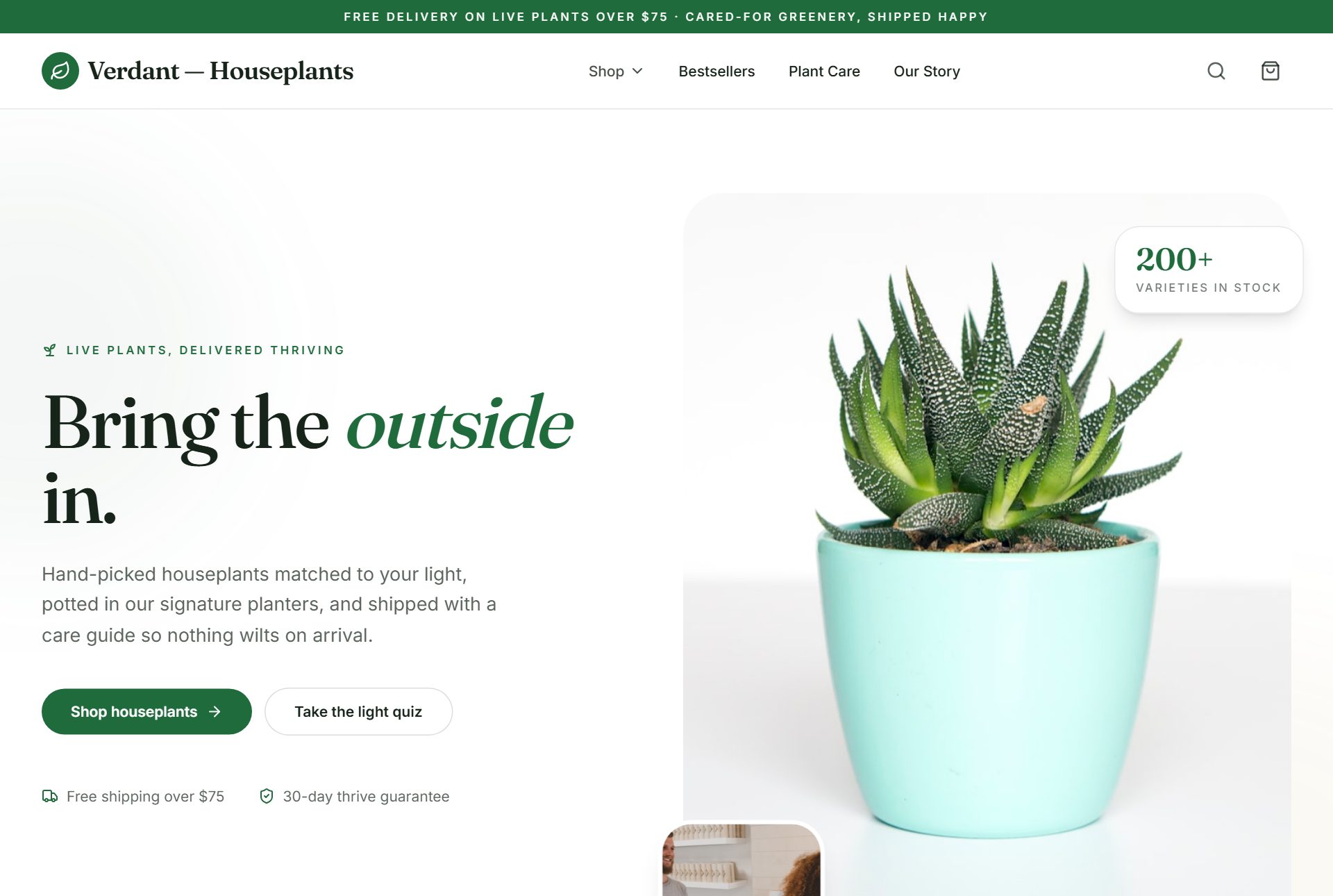 Verdant storefront preview